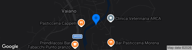 Map showing Stadio Lungobisenzio